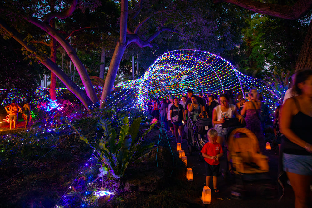 Midsummer Night's Gleam 3