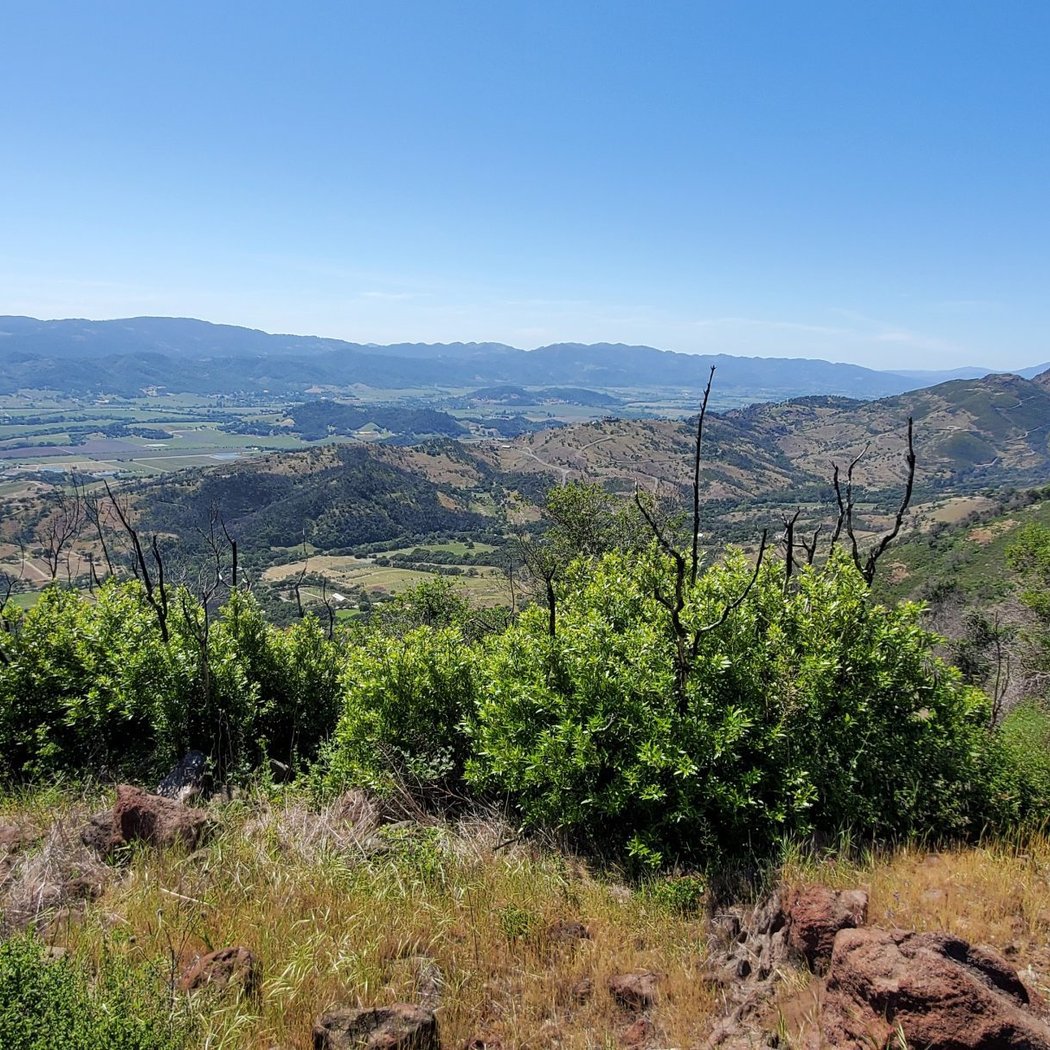 Family Friendly Hike at Mead Ranch Preserve 1