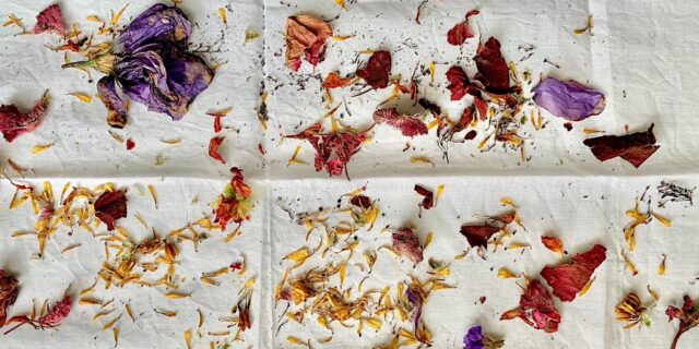 Compost Bundle Dyeing Workshop 1