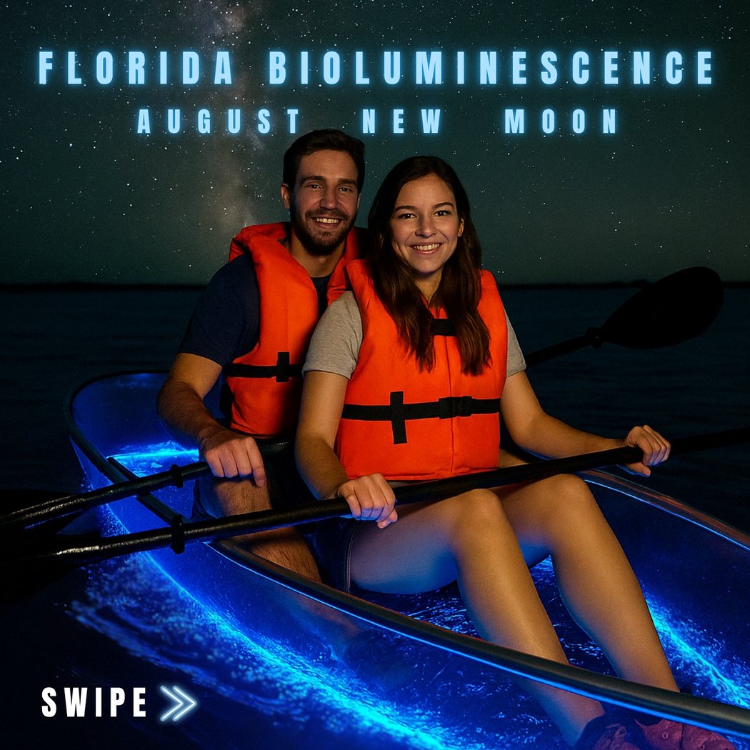Bioluminescent Kayaking Tour 2