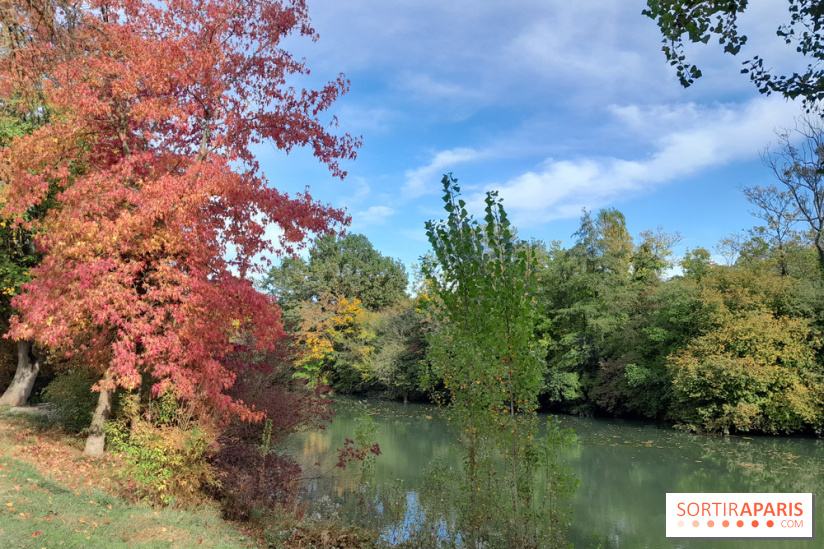 Bords de Marne Bry sur Marne 3