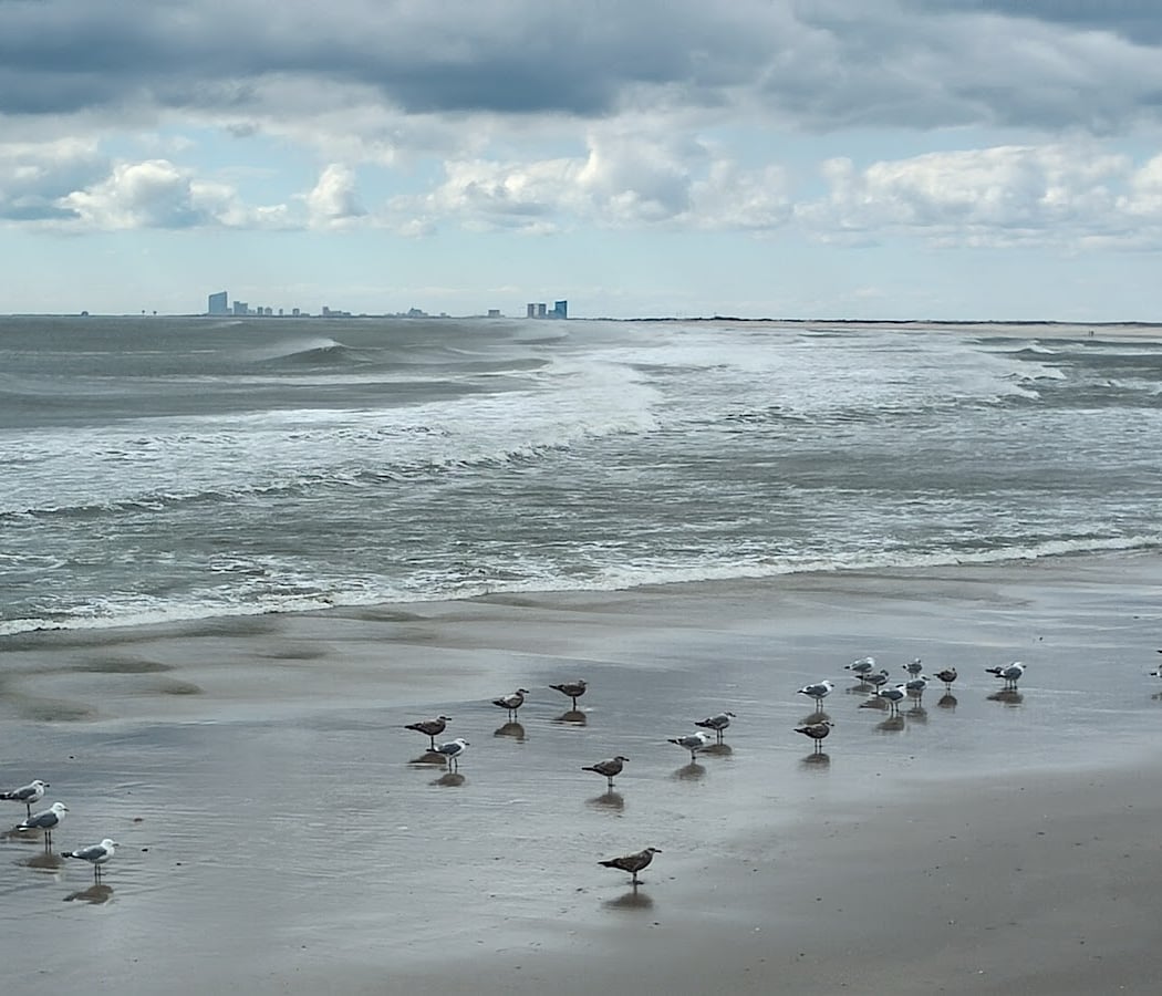 Edwin B. Forsythe National Wildlife Refuge — Holgate Beach Wilderness 5