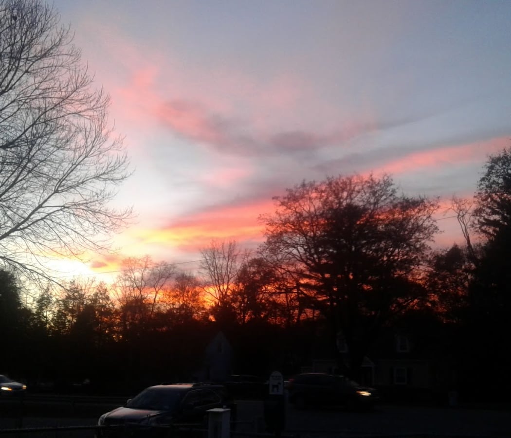 Spratt Park 3