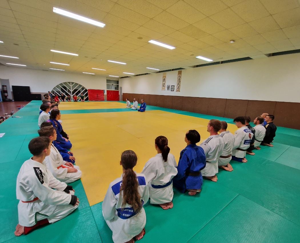 Jujitsu Fighting Plessis Robinson 3
