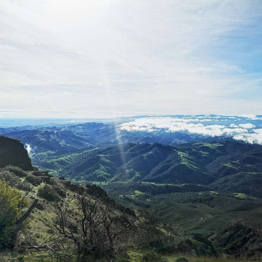 Mary Bowerman Interpretive Trail 3