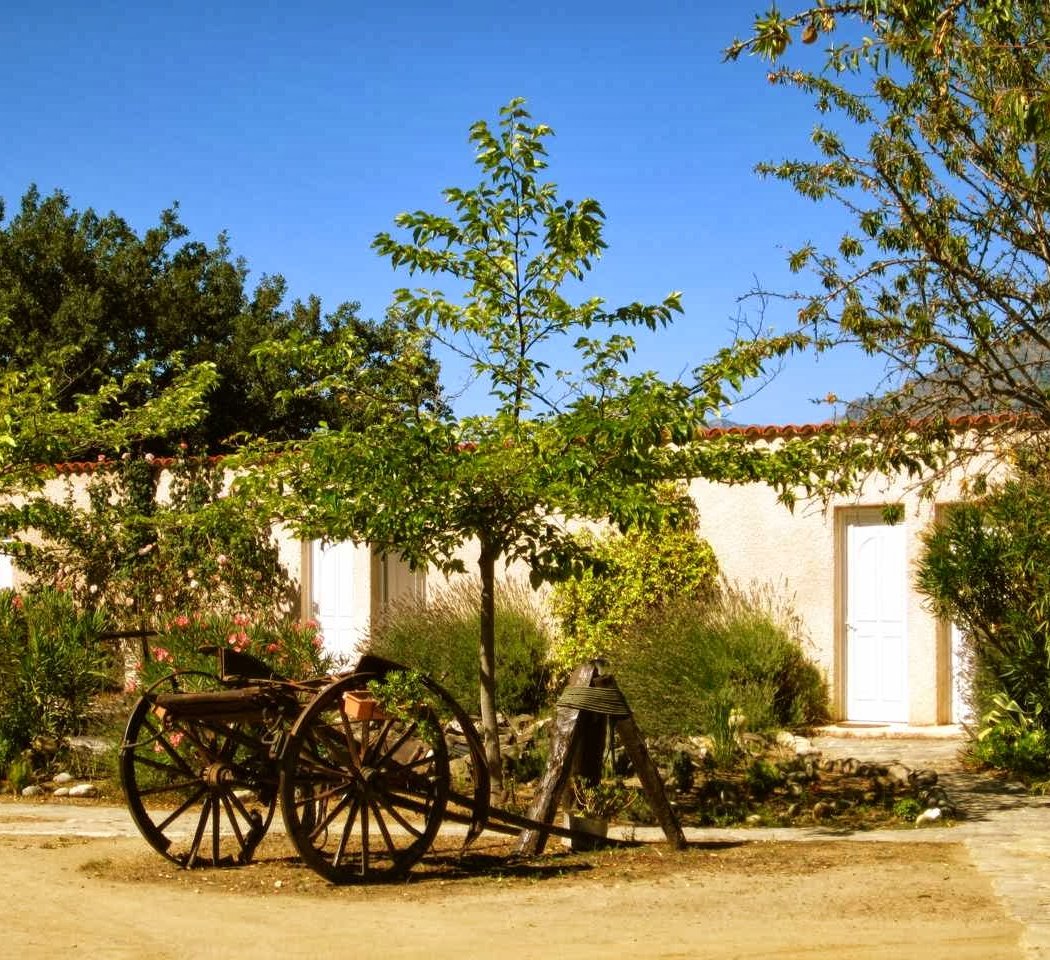 STELLE DI CORSICA 3