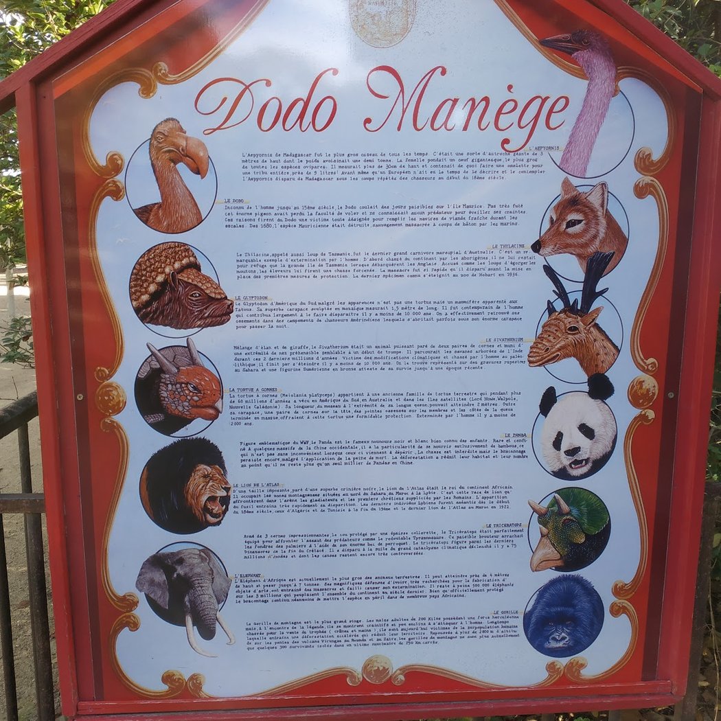 Dodo Manège 4