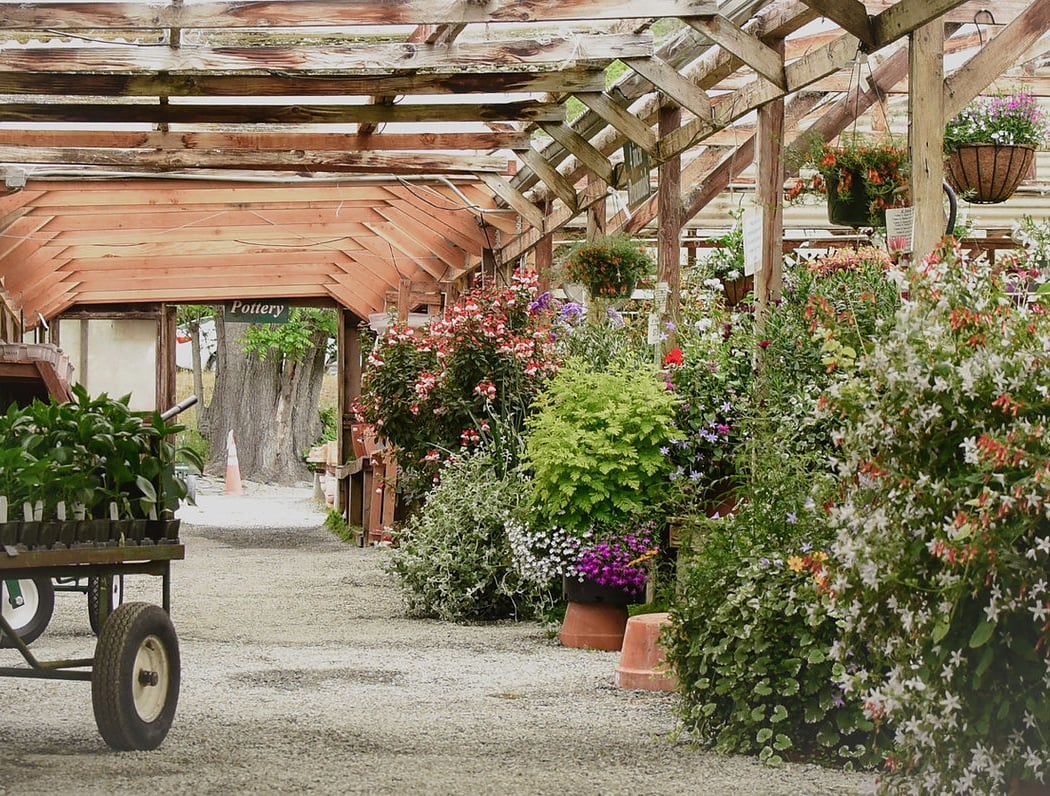 Half Moon Bay - Nursery 2
