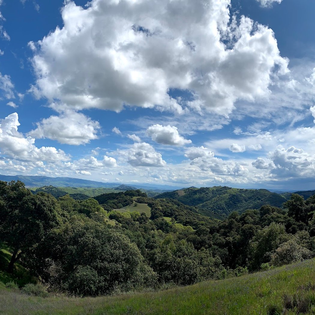 Santa Clara Valley Bird Alliance Event 3