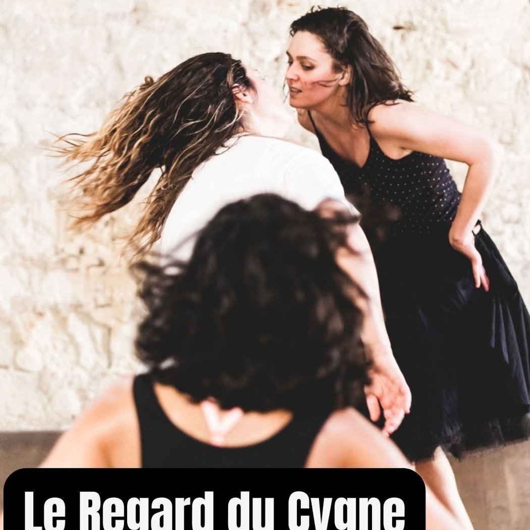 Le Regard du Cygne 1