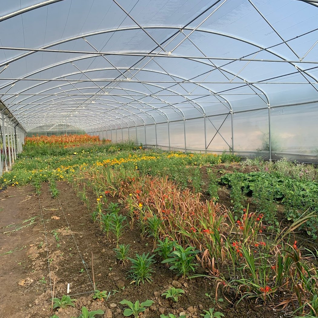 Les 48h de l’agriculture urbaine 2