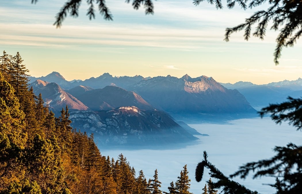 Chartreuse Mountains 1