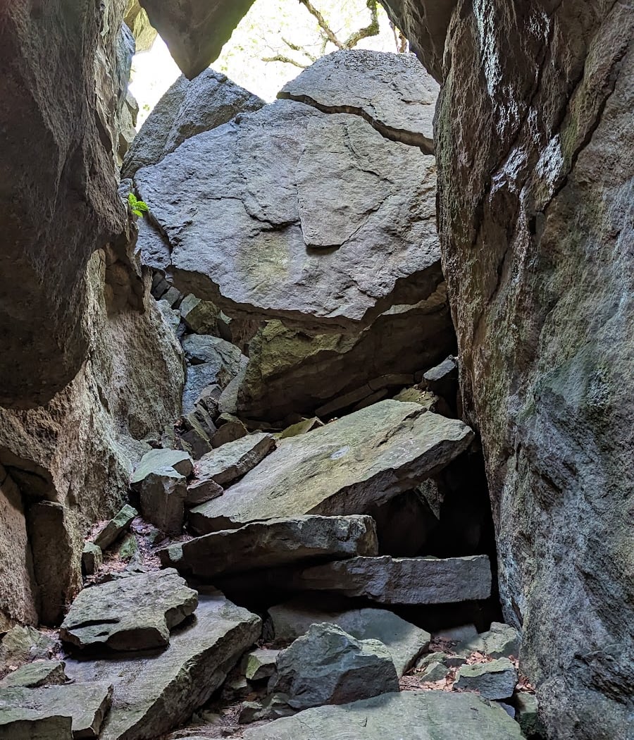 Bear Hill Nature Preserve 3