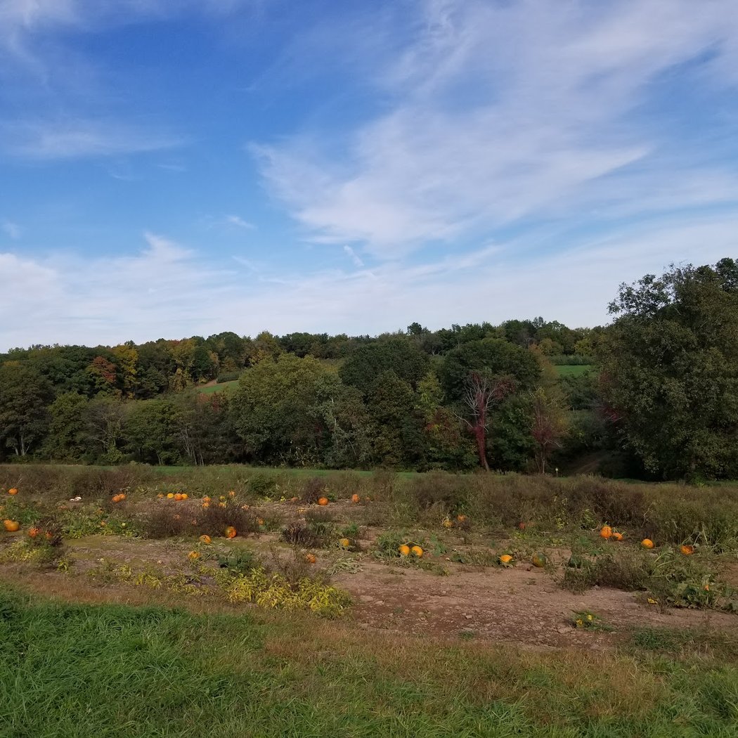 Lyman Orchards 3