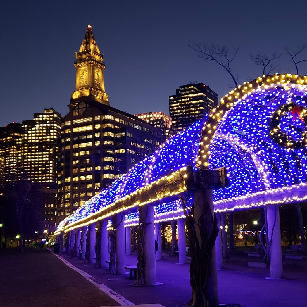 Christopher Columbus Park Trellis Lighting