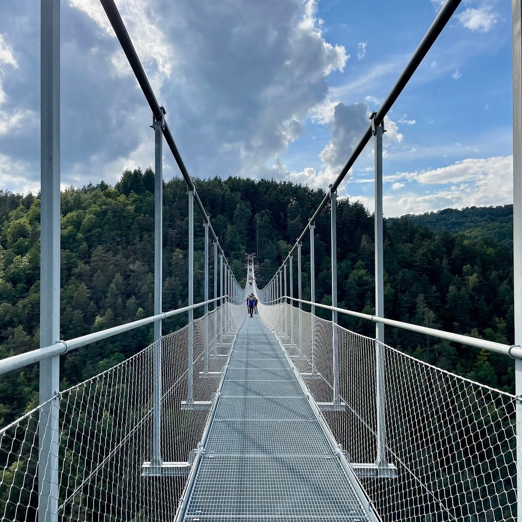 Passerelle des Gorges du Lignon 3