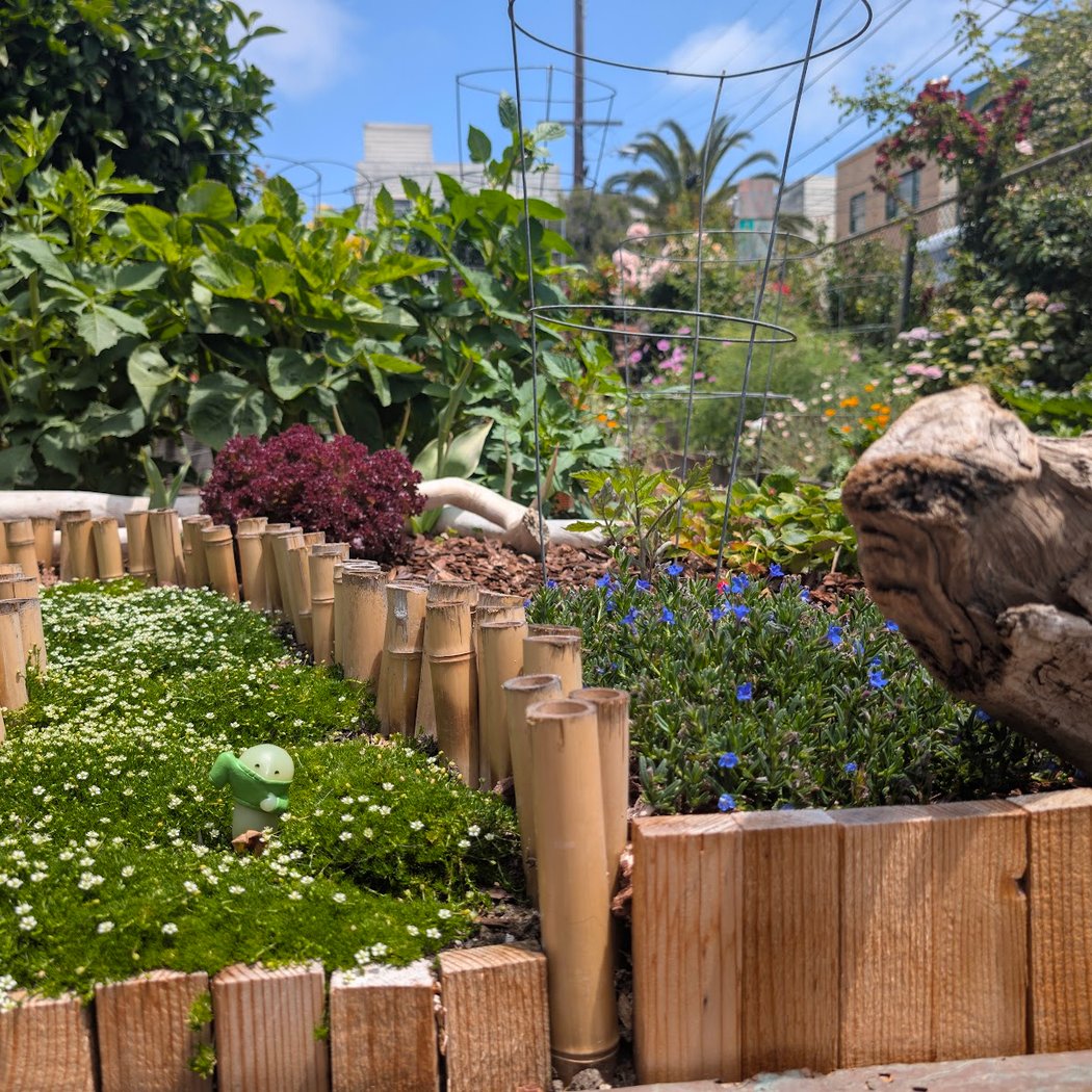 Dearborn Community Garden 2