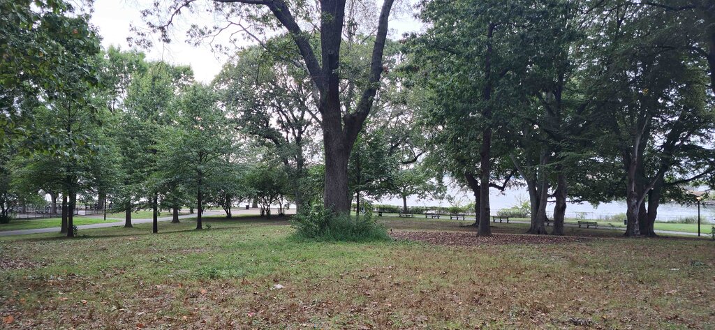 MacNeil Park 2