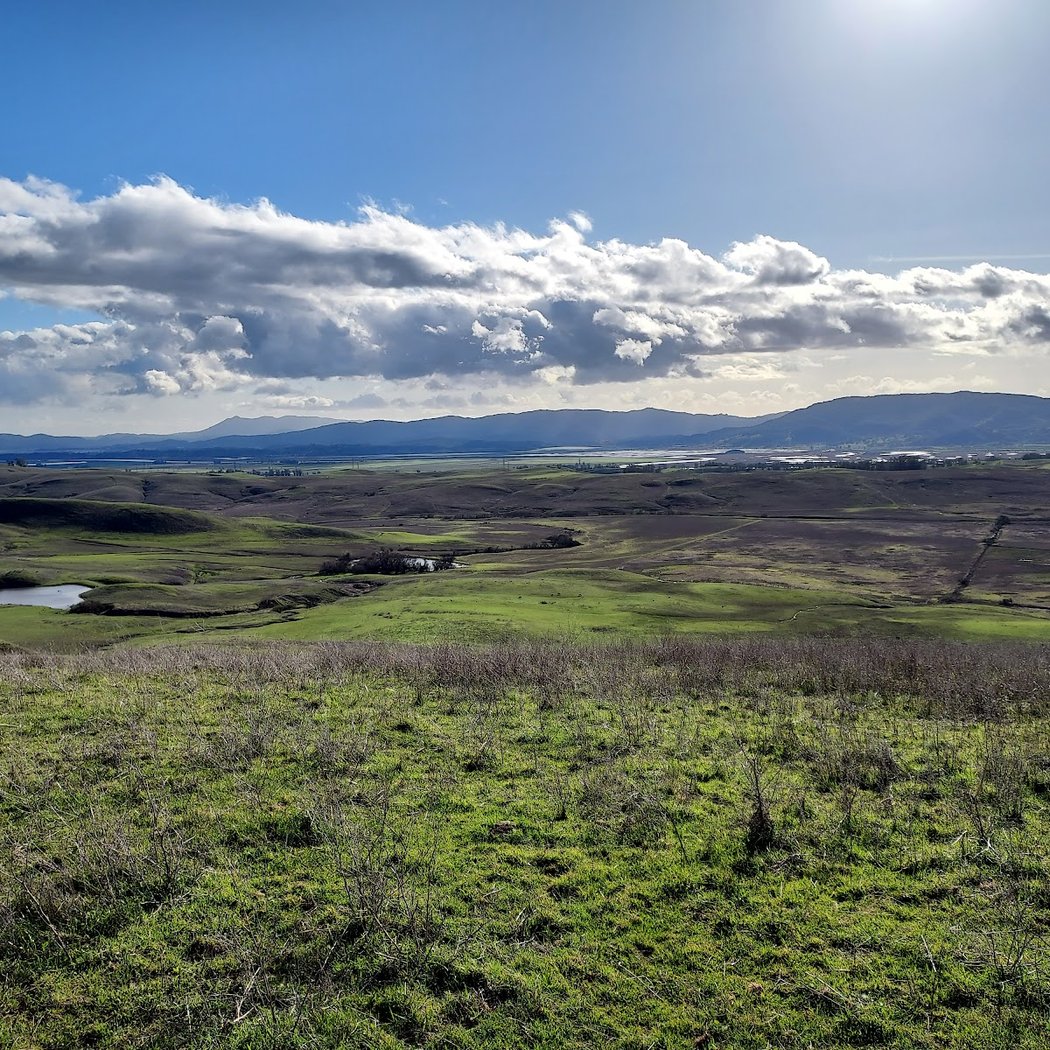 Tolay Lake Regional Park 2