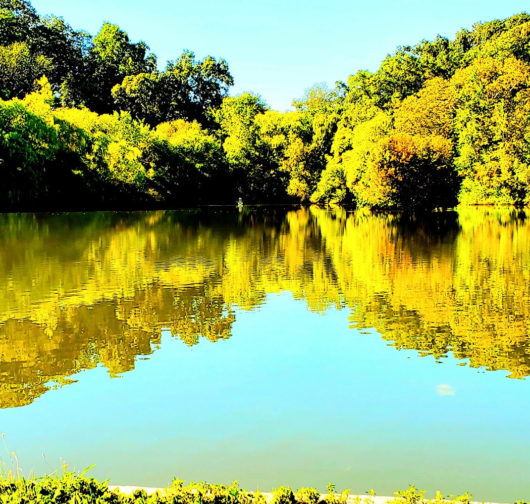 Kissena Park, Field 12 3