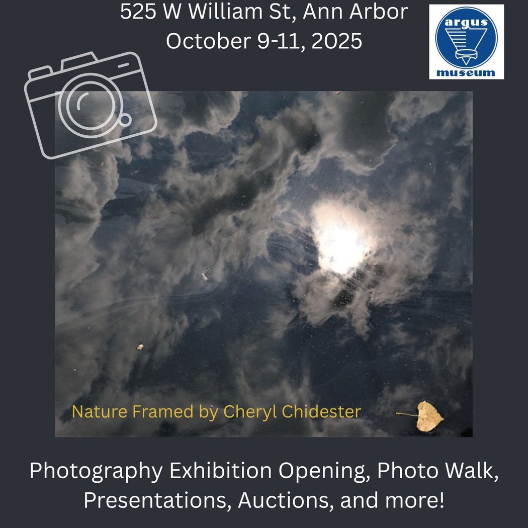 Cheryl Chidester's Nature Framed 1