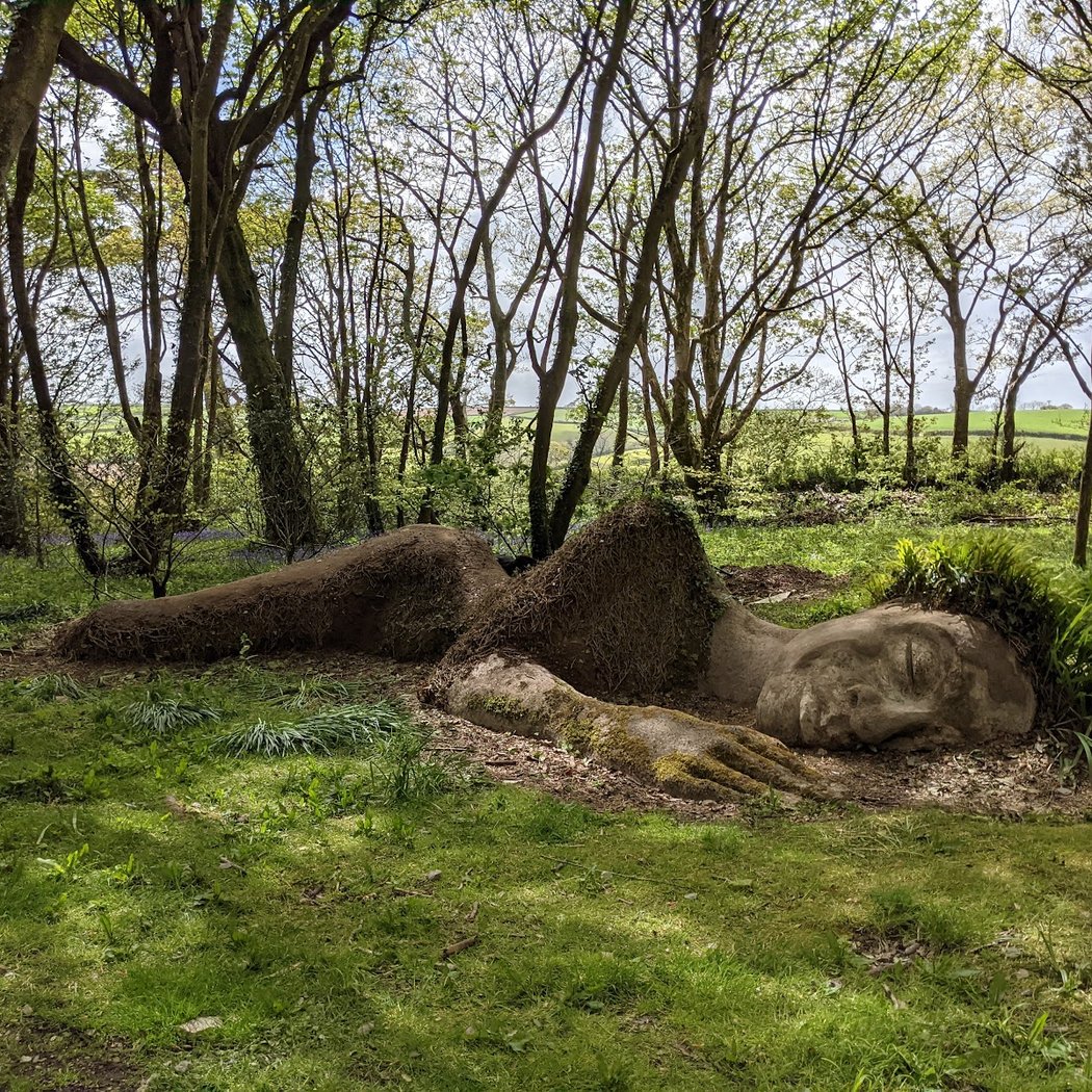 The Lost Gardens of Heligan 3