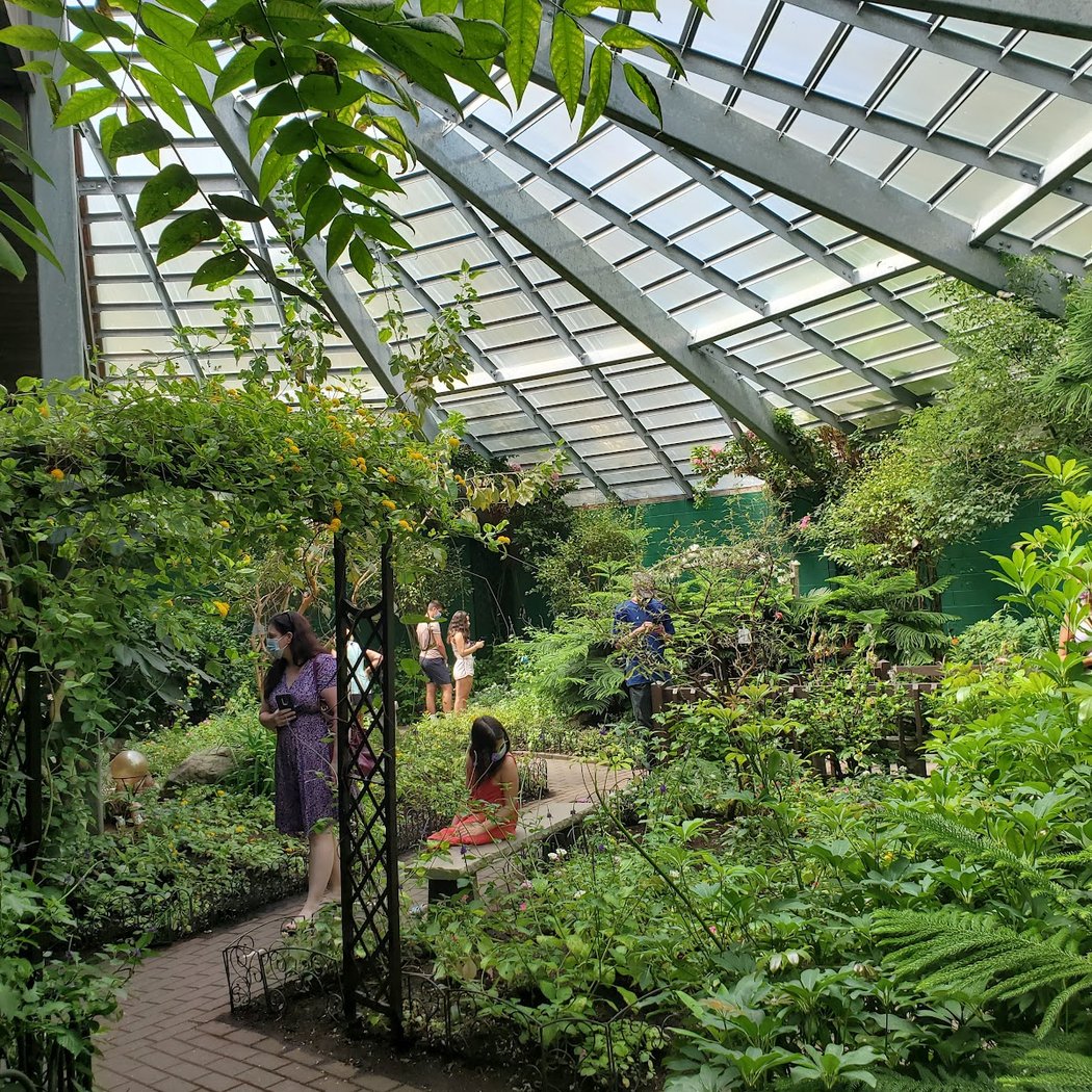 The Butterfly Place 2