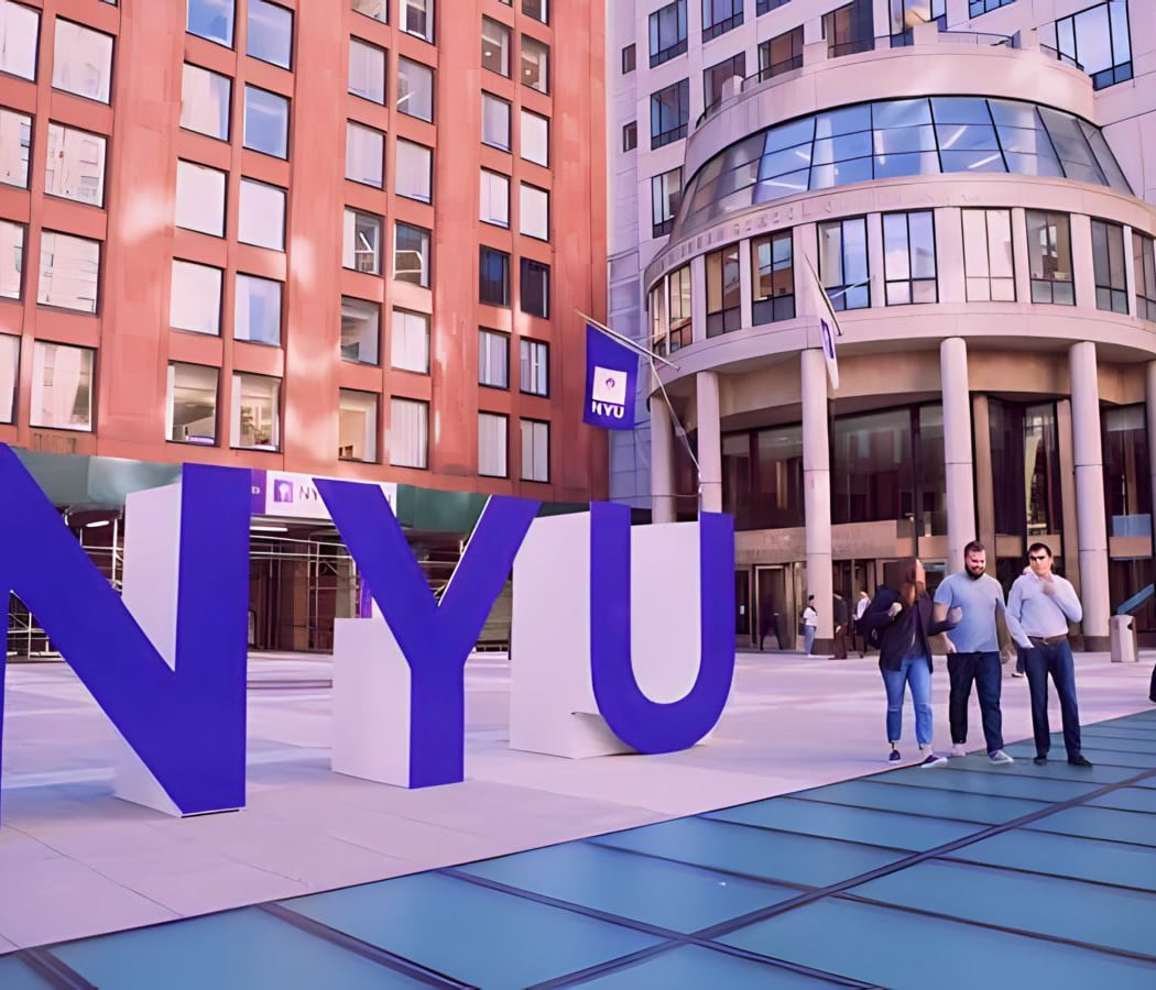New York University 2