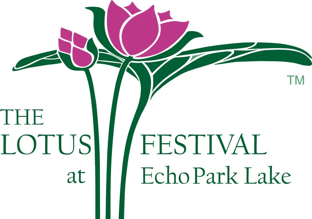 Lotus Festival: Lights of Dreams Festival 2