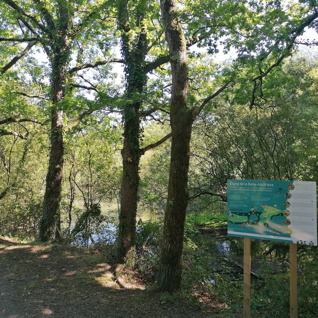 Étang de la Belle Hautière 3