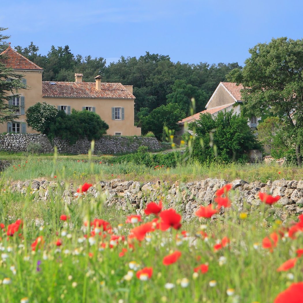 Château Lafoux 1