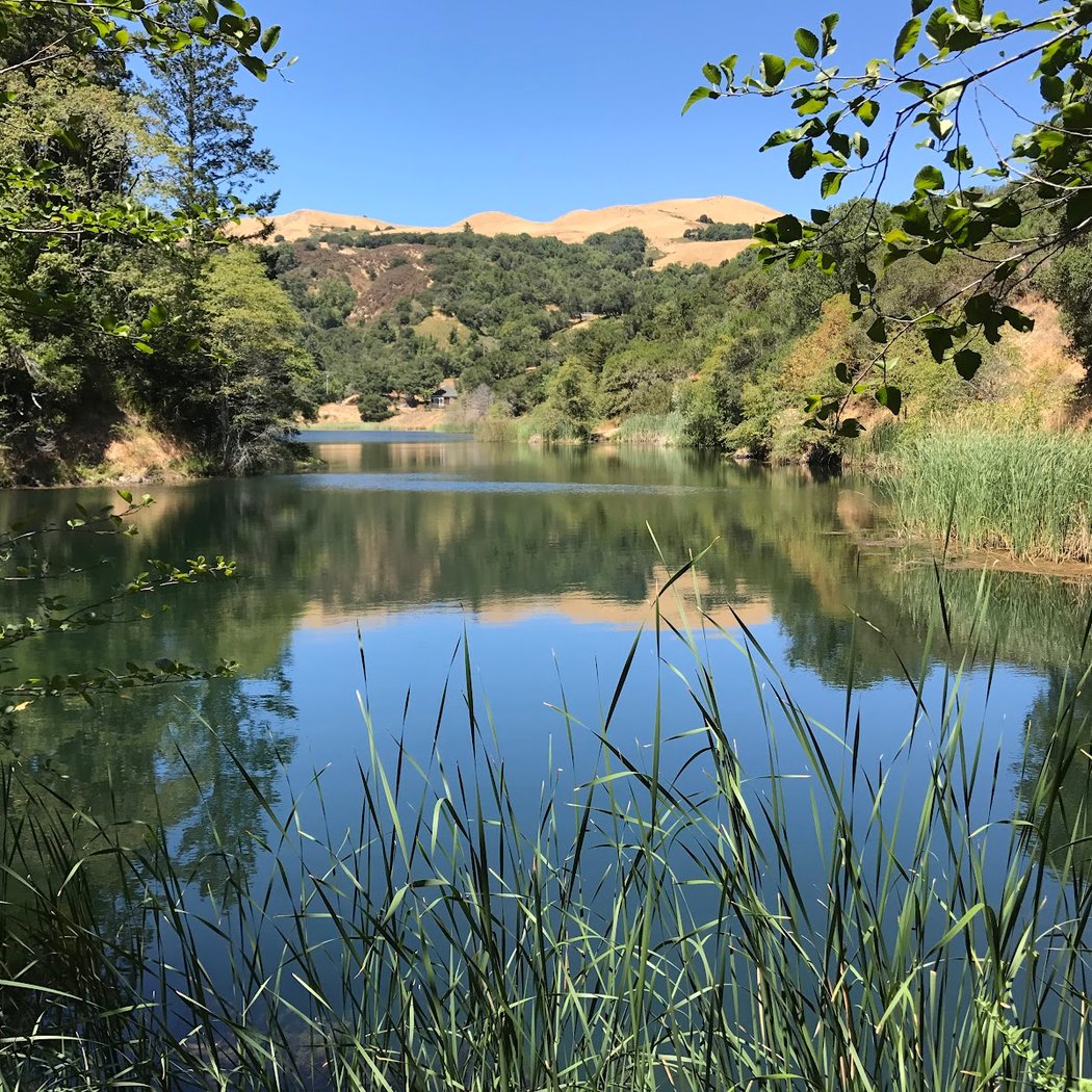 Phoenix Lake 1
