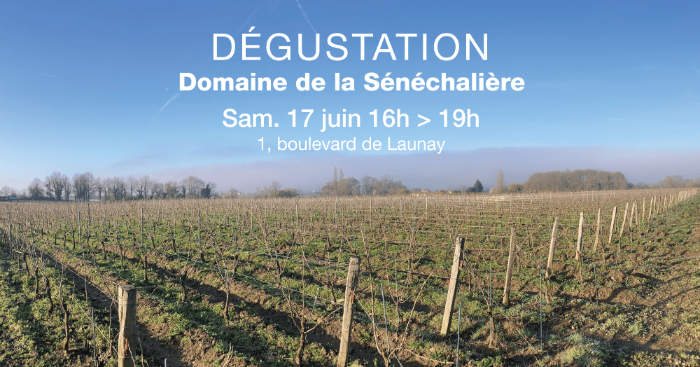 Dégustation des vins naturels de Marc Pesnot 1