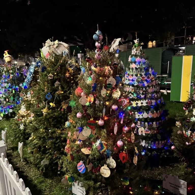 Christmas In The Park 2