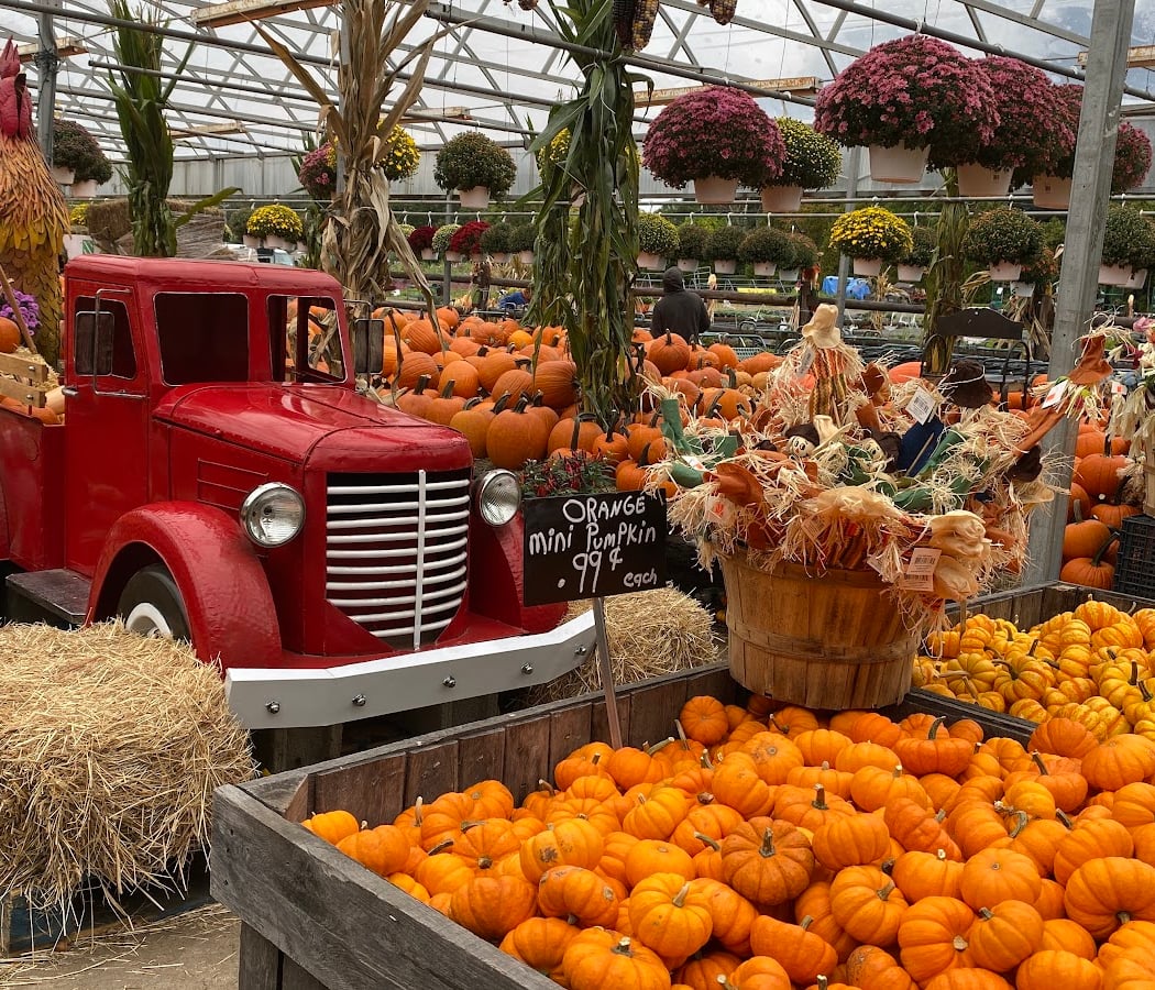 Westchester Greenhouses & Farm 1