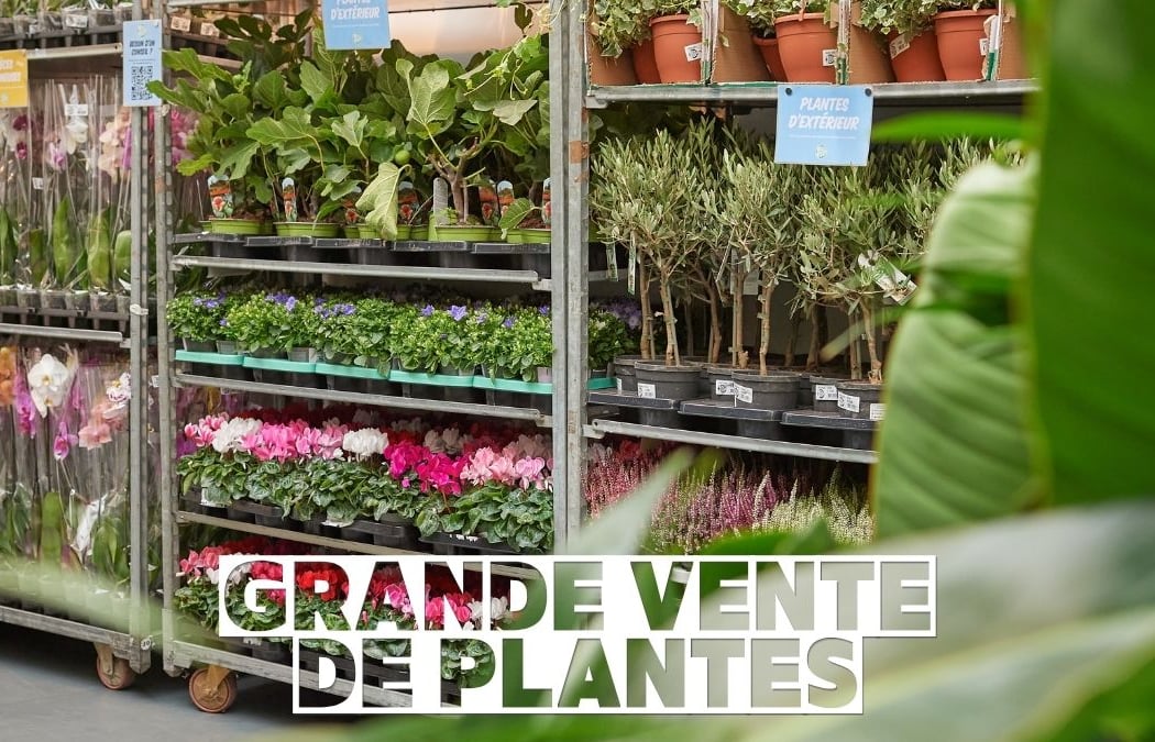 Grande vente de plantes 1