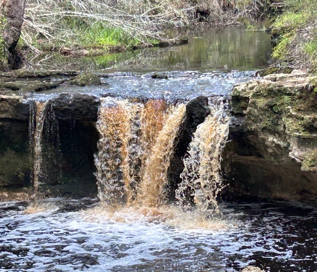 Falling Creek Falls 2