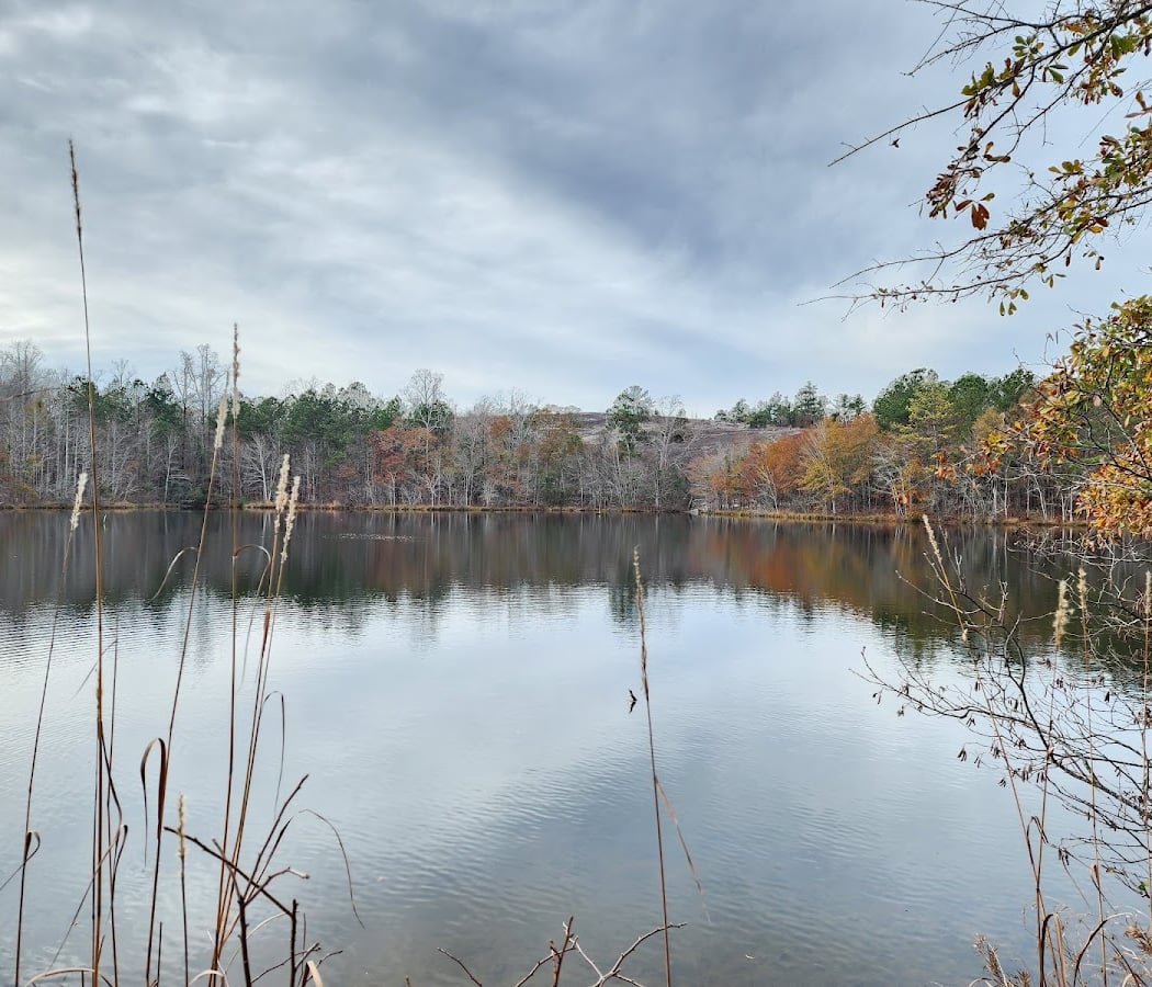 Davidson-Arabia Mountain Nature Preserve 2