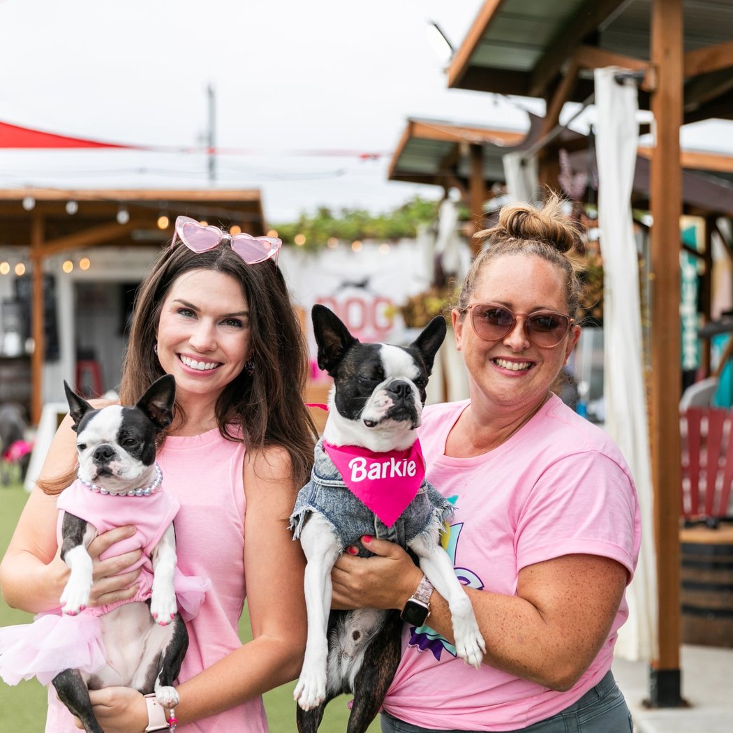 Boston Terrier Meetup 1
