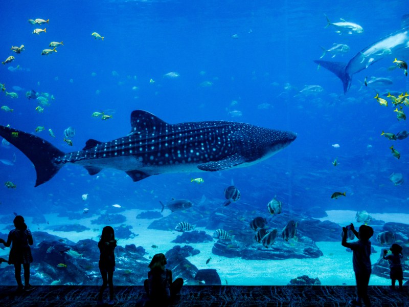 Biarritz Aquarium