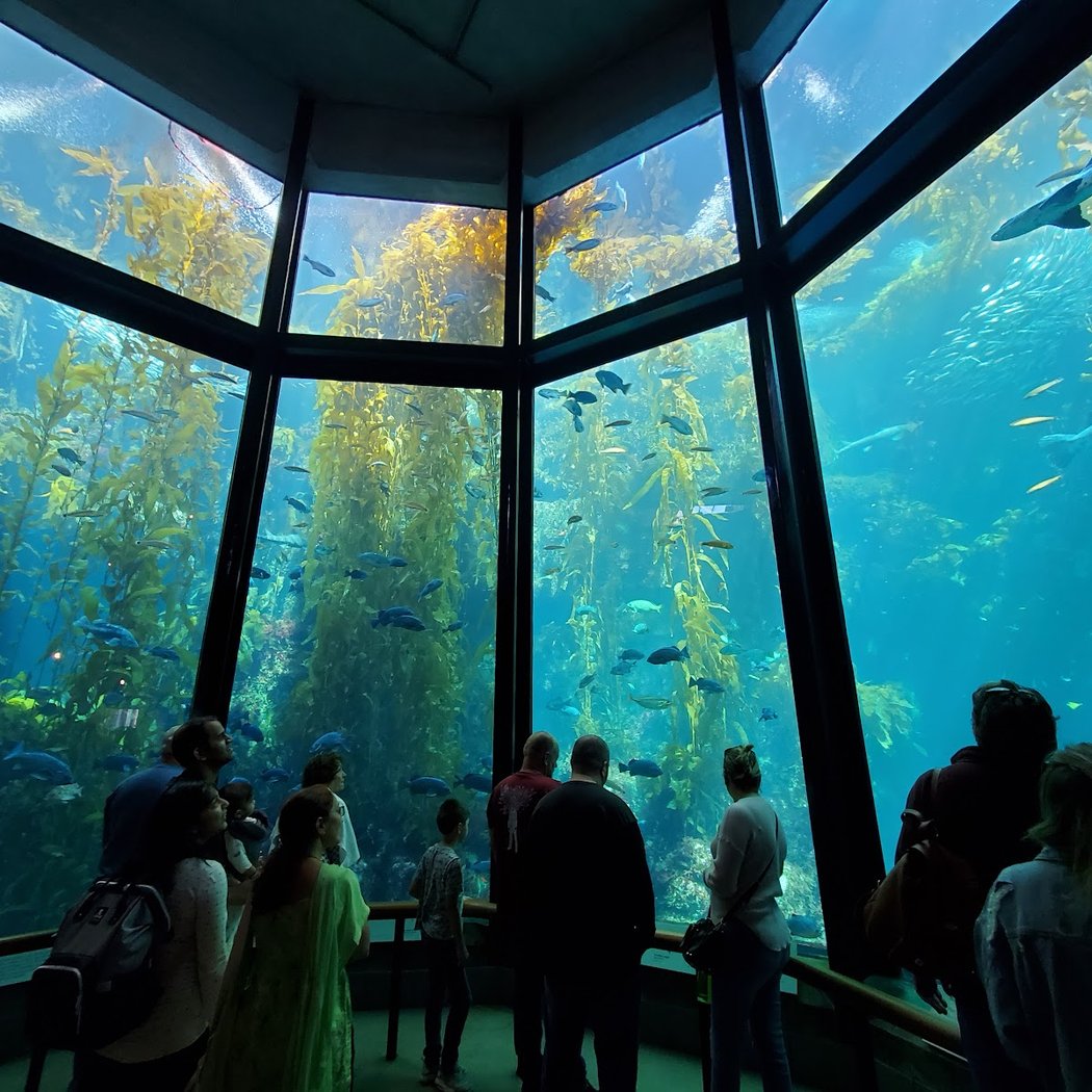 Monterey Bay Aquarium: Seafood Watch Program 3