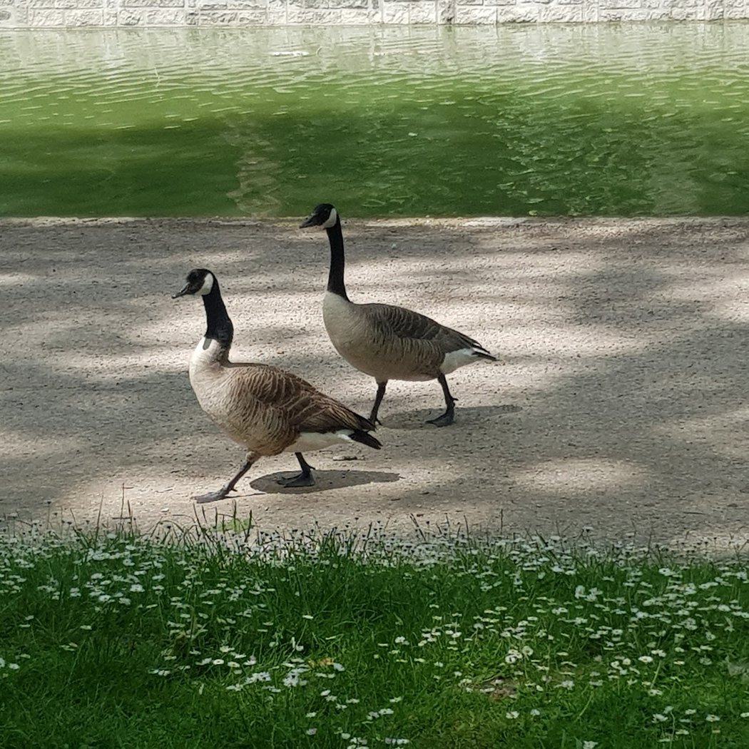 Sports de la Grenouillère State Park 3