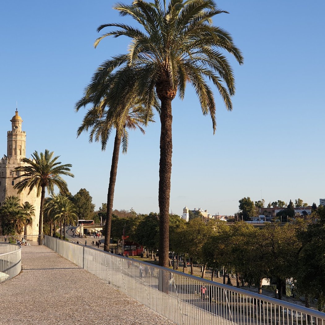Paseo de Cristóbal Colón 1