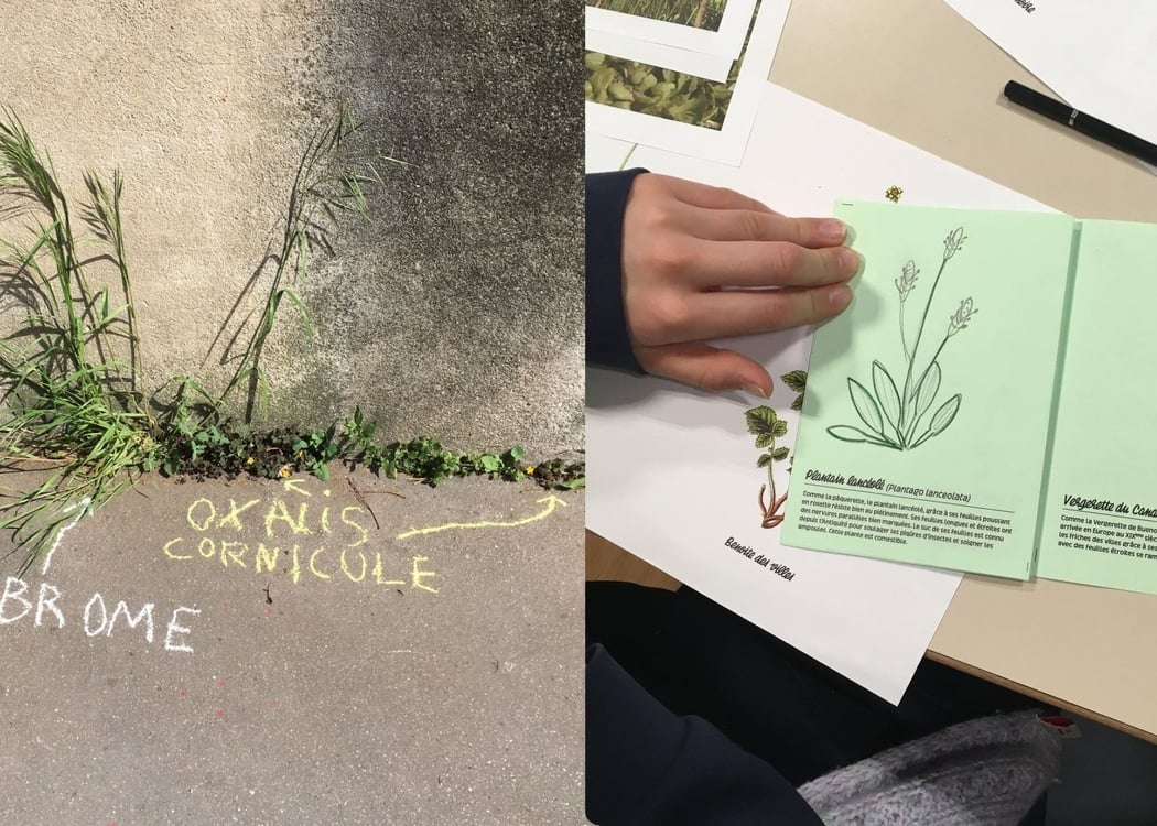 L'Automne de la Science à la Canopée : atelier de graffiti botanique