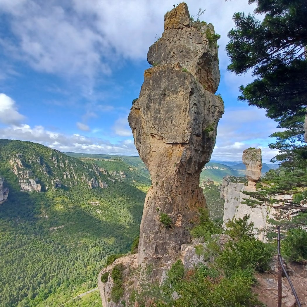 Causse Méjan 3