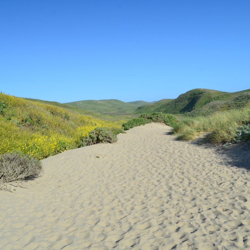 Kehoe Beach Trail 1