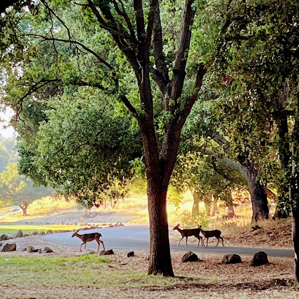 College Student & Young Professional Workday Series - Session #2 1