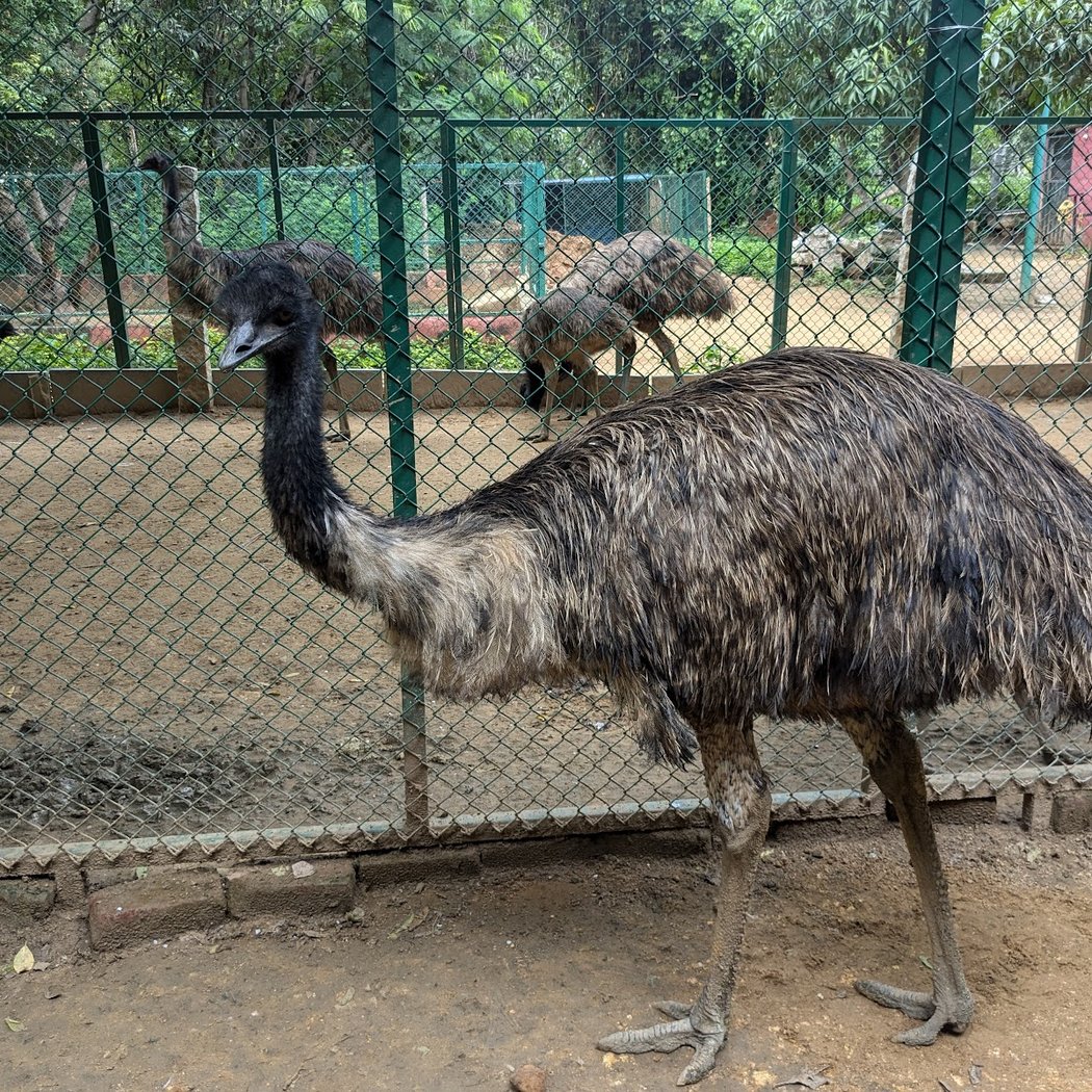Prani - The Pet Sanctuary 3