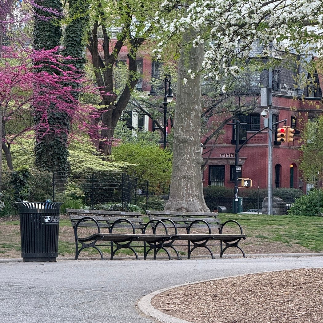 Carl Schurz Park Dog Runs 3