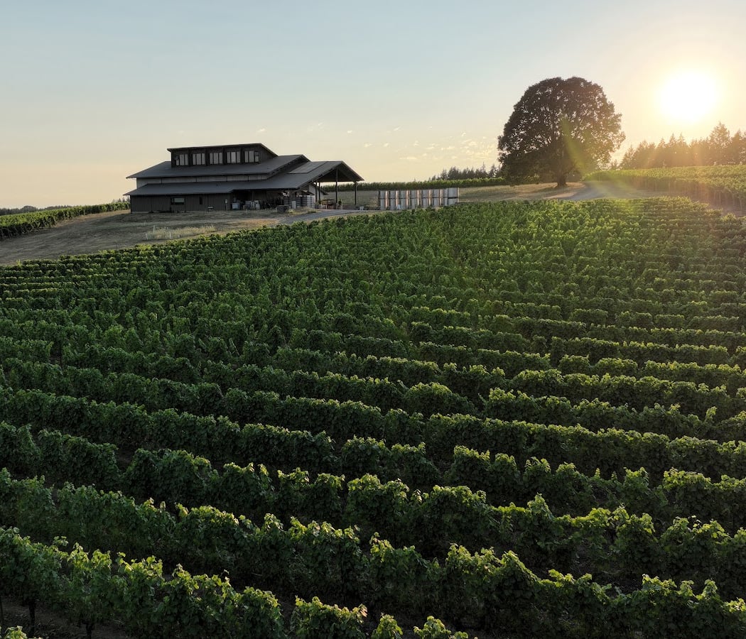 Shea Wine Cellars 3